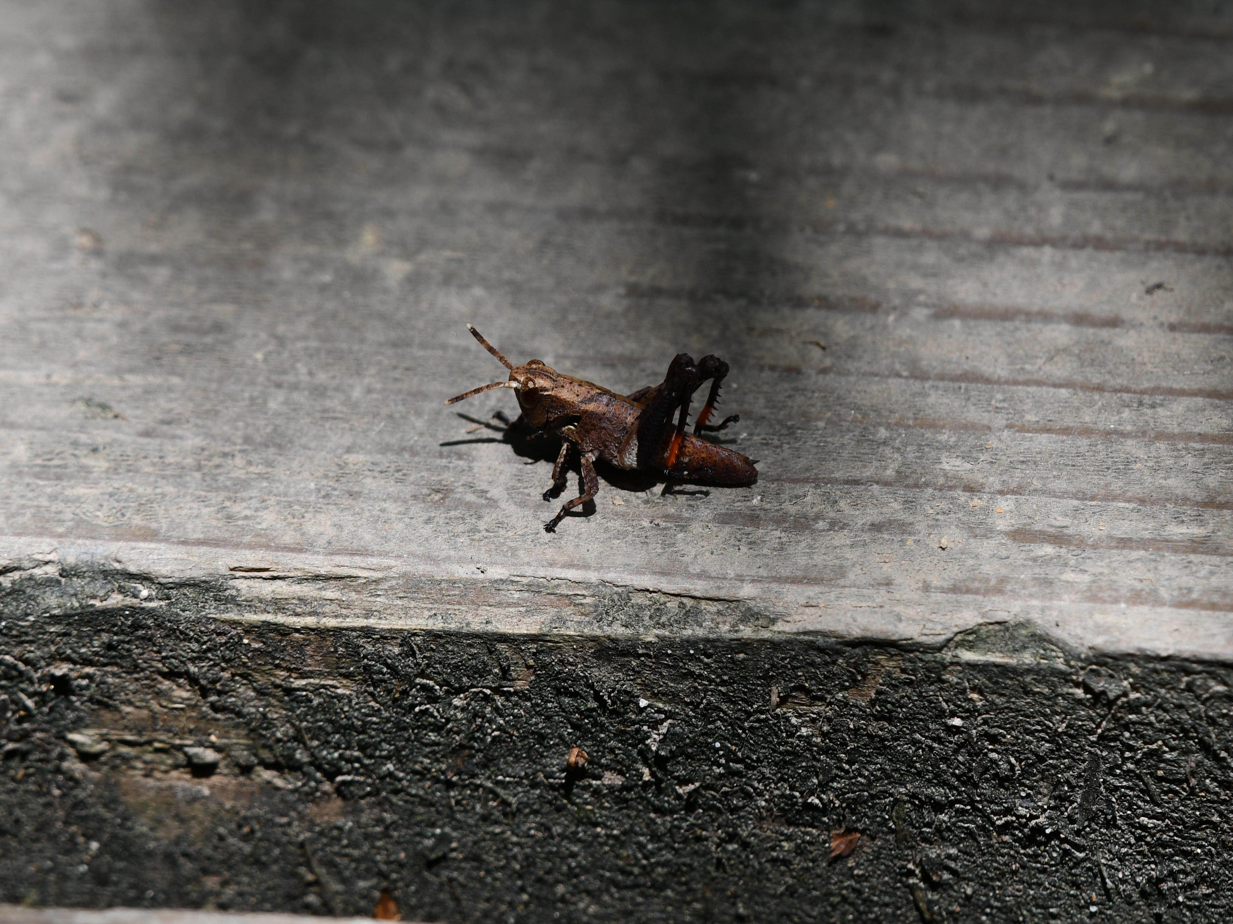 #39:
          STAY TUNED...
          f/ at mm - Shutter Speed: - ISO: