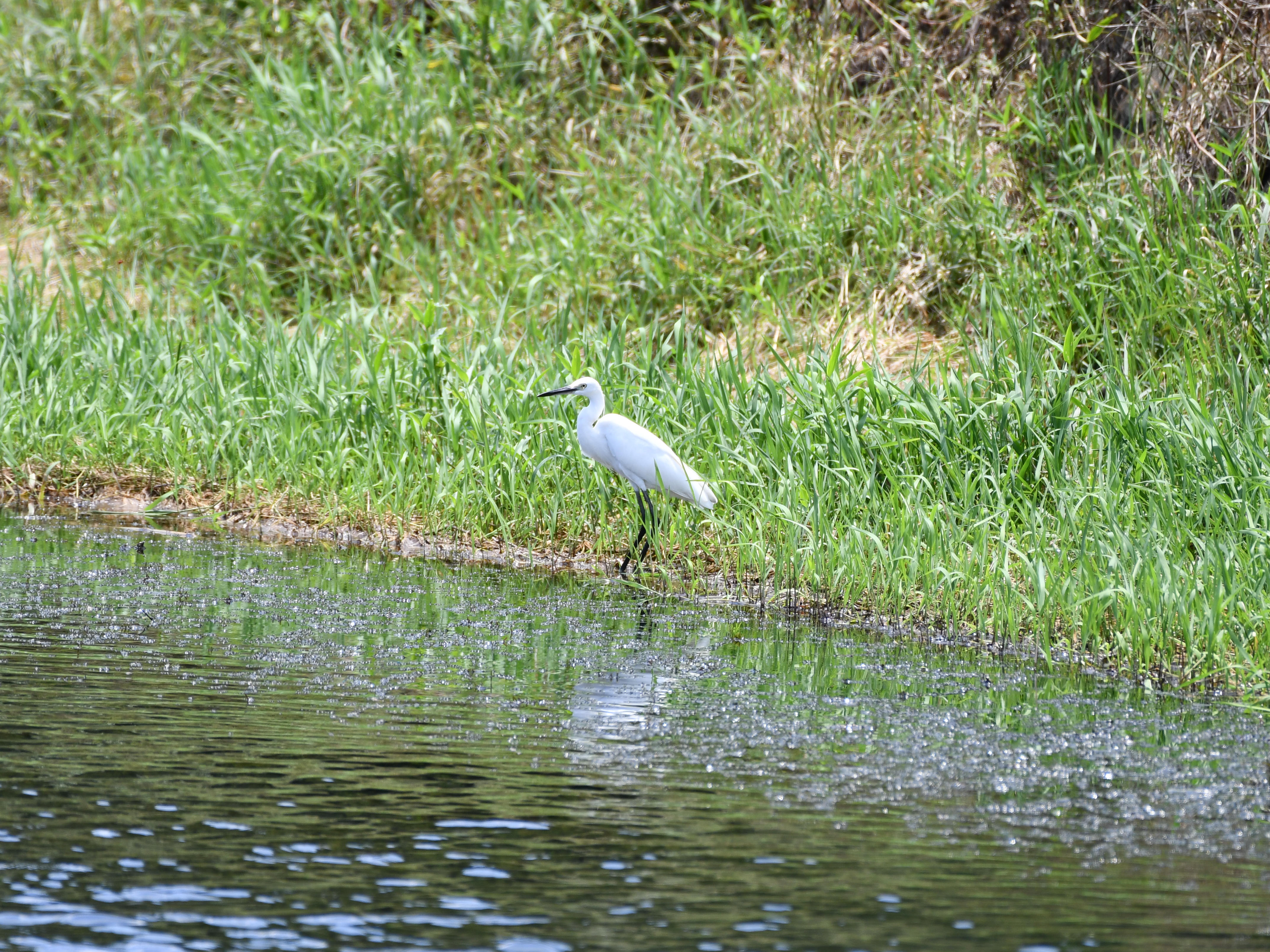 #49:
          STAY TUNED...
          f/ at mm - Shutter Speed: - ISO: