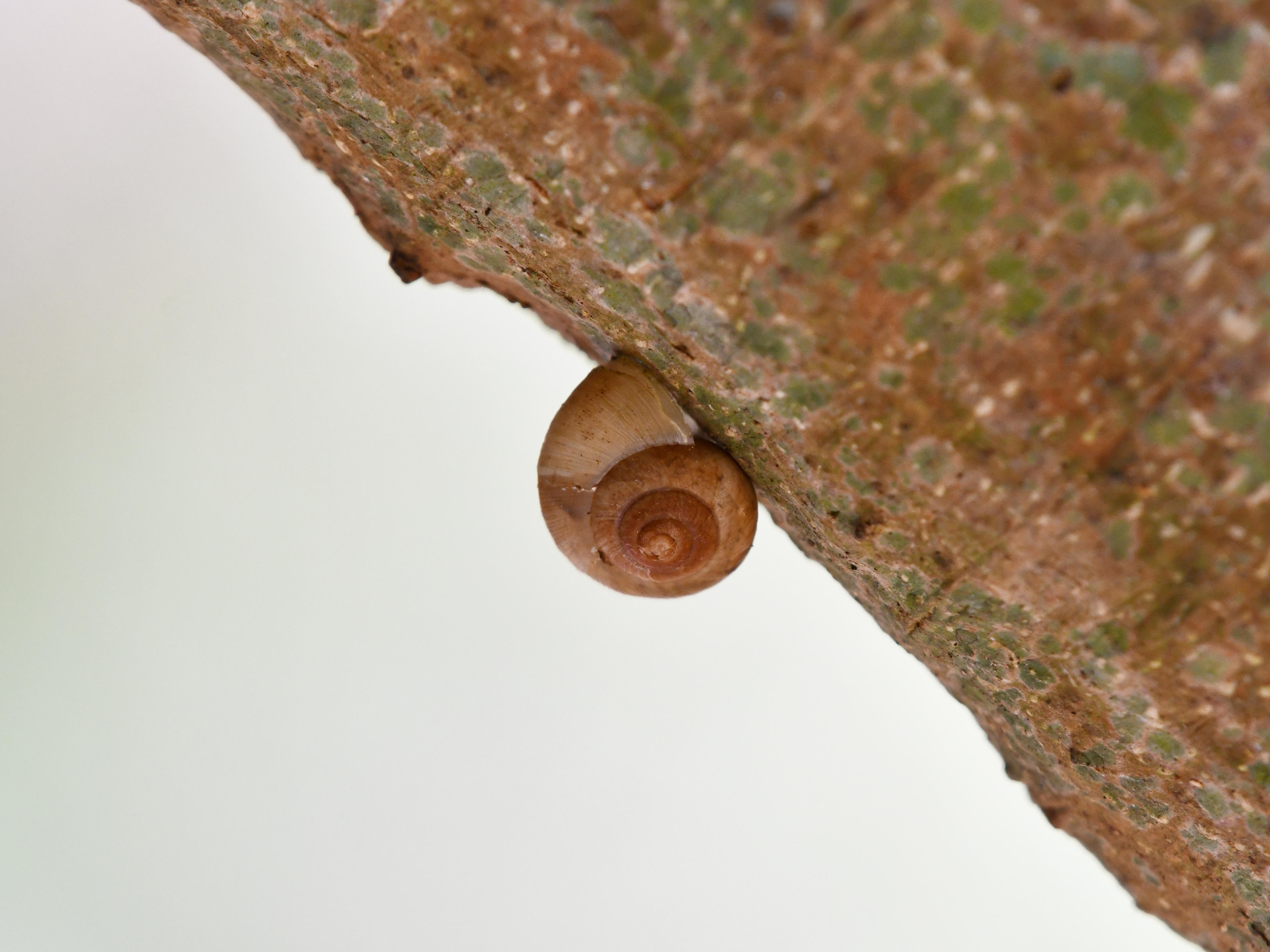 #51:
          STAY TUNED...
          f/ at mm - Shutter Speed: - ISO: