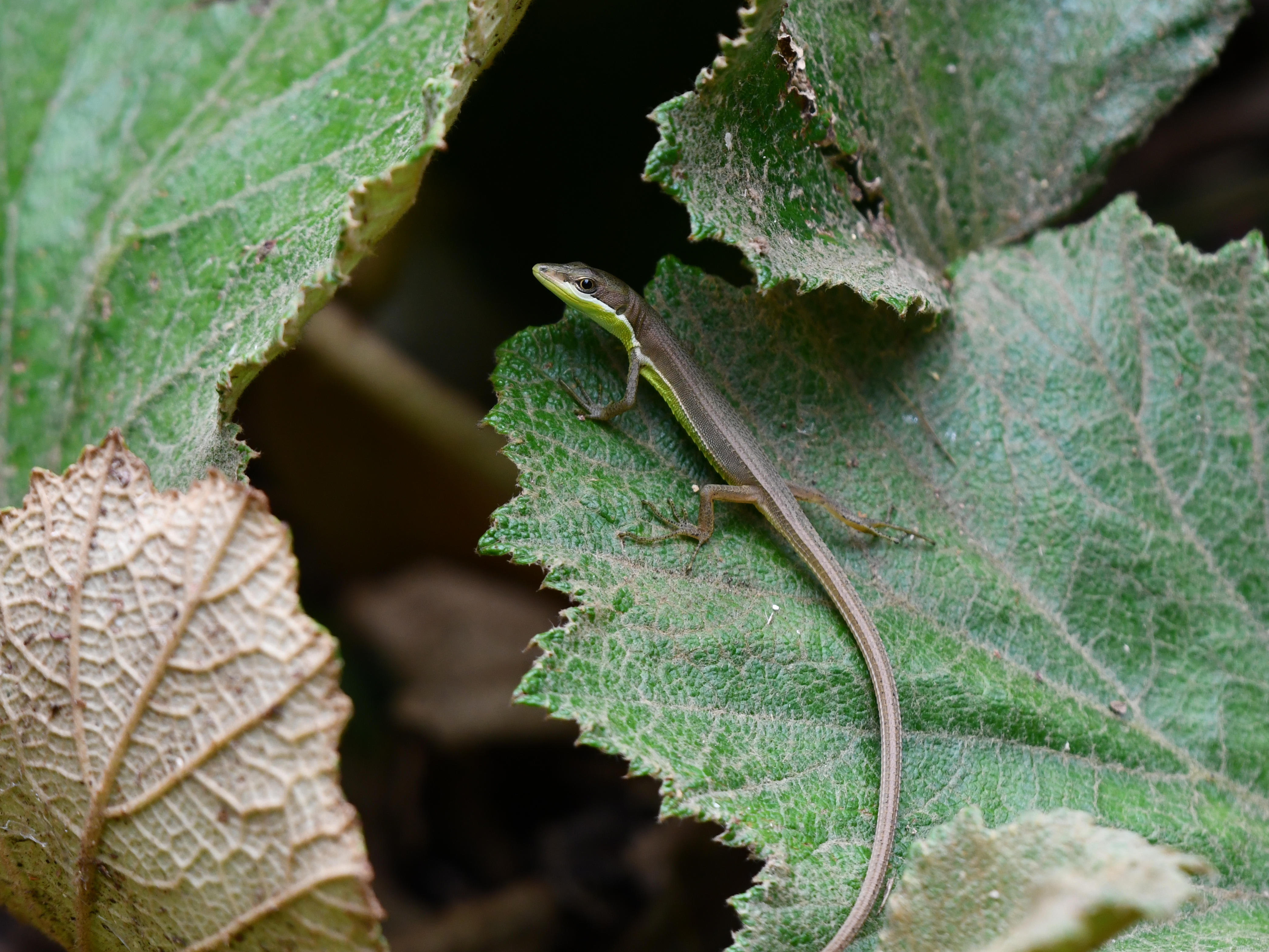 #61:
          STAY TUNED...
          f/ at mm - Shutter Speed: - ISO: