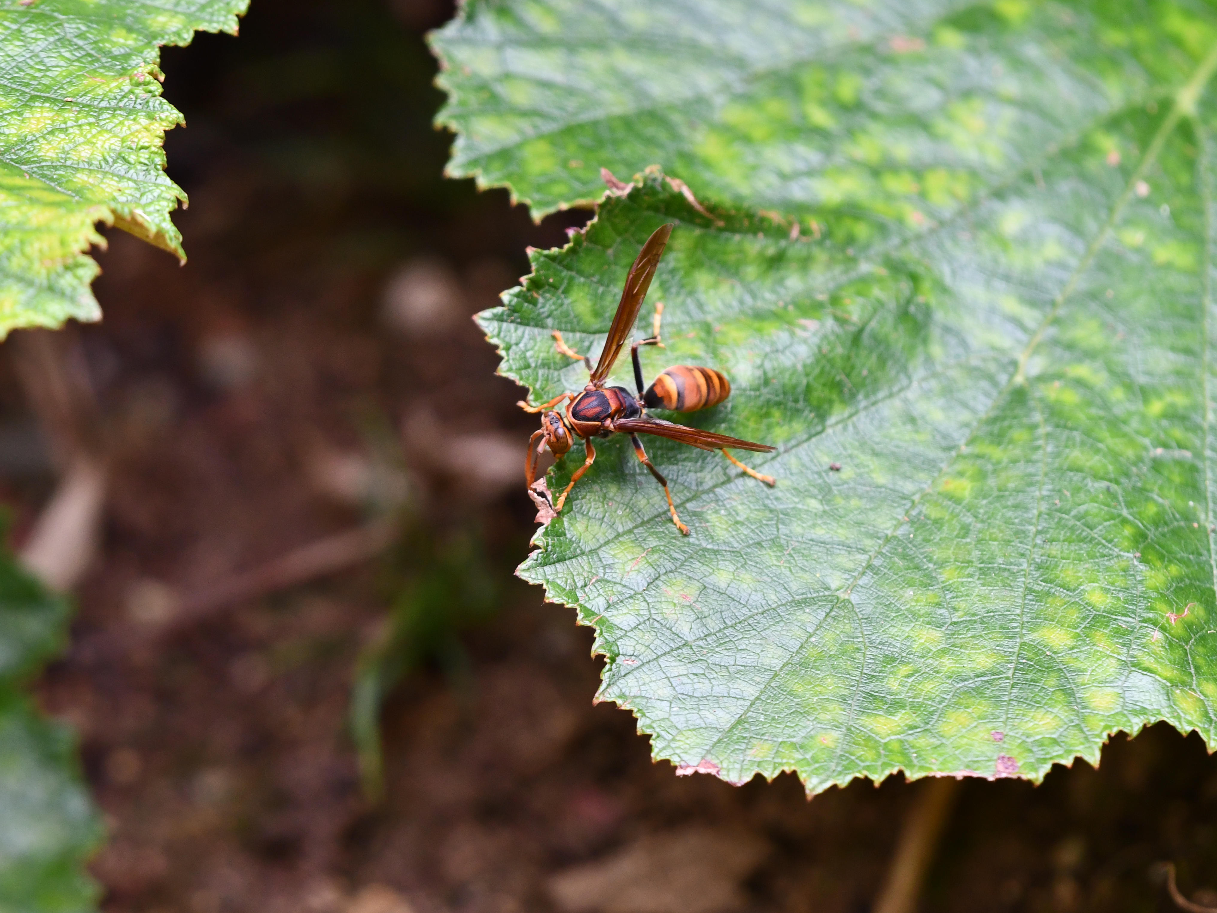 #62:
          STAY TUNED...
          f/ at mm - Shutter Speed: - ISO: