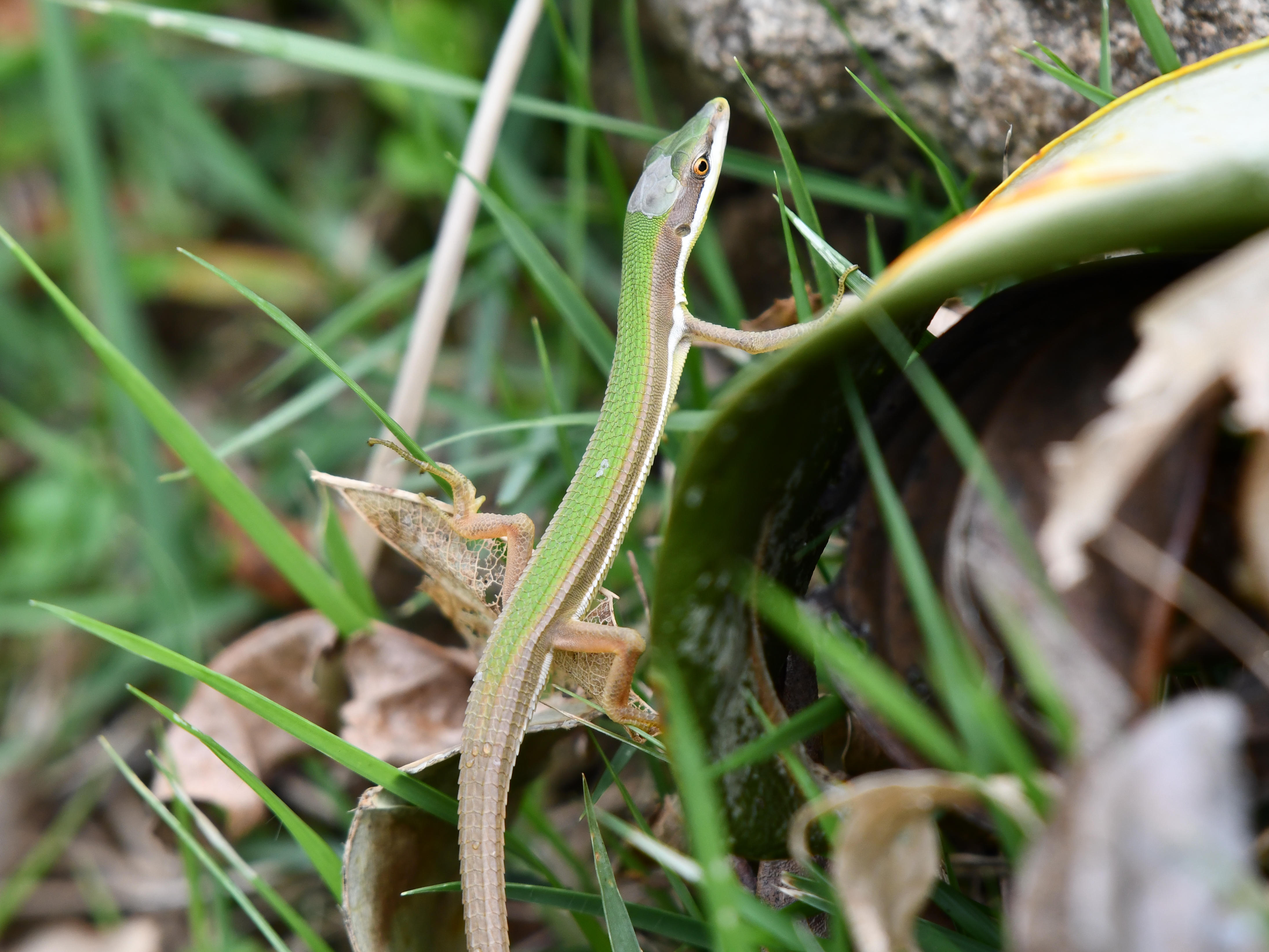 #63:
          STAY TUNED...
          f/ at mm - Shutter Speed: - ISO: