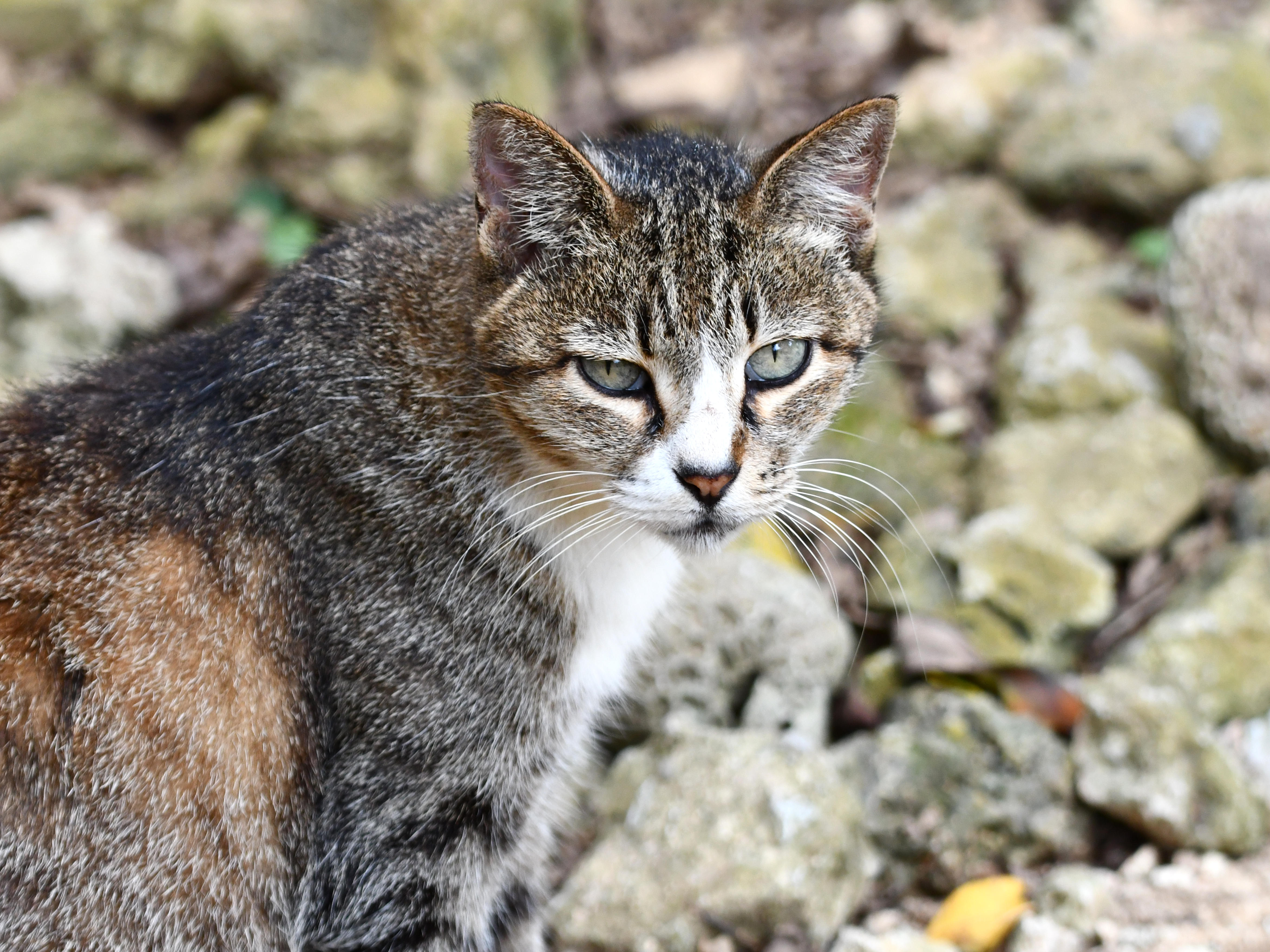 #64:
          STAY TUNED...
          f/ at mm - Shutter Speed: - ISO: