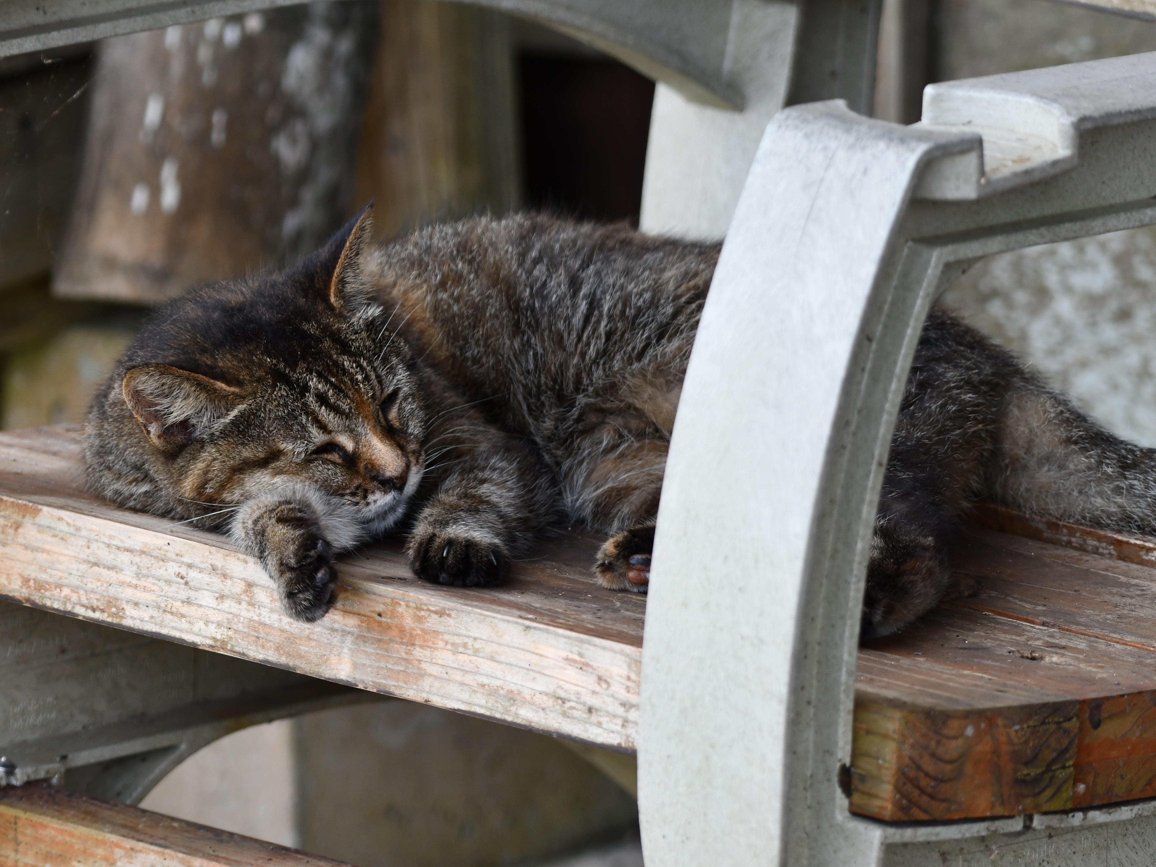 #67:
          STAY TUNED...
          f/ at mm - Shutter Speed: - ISO: