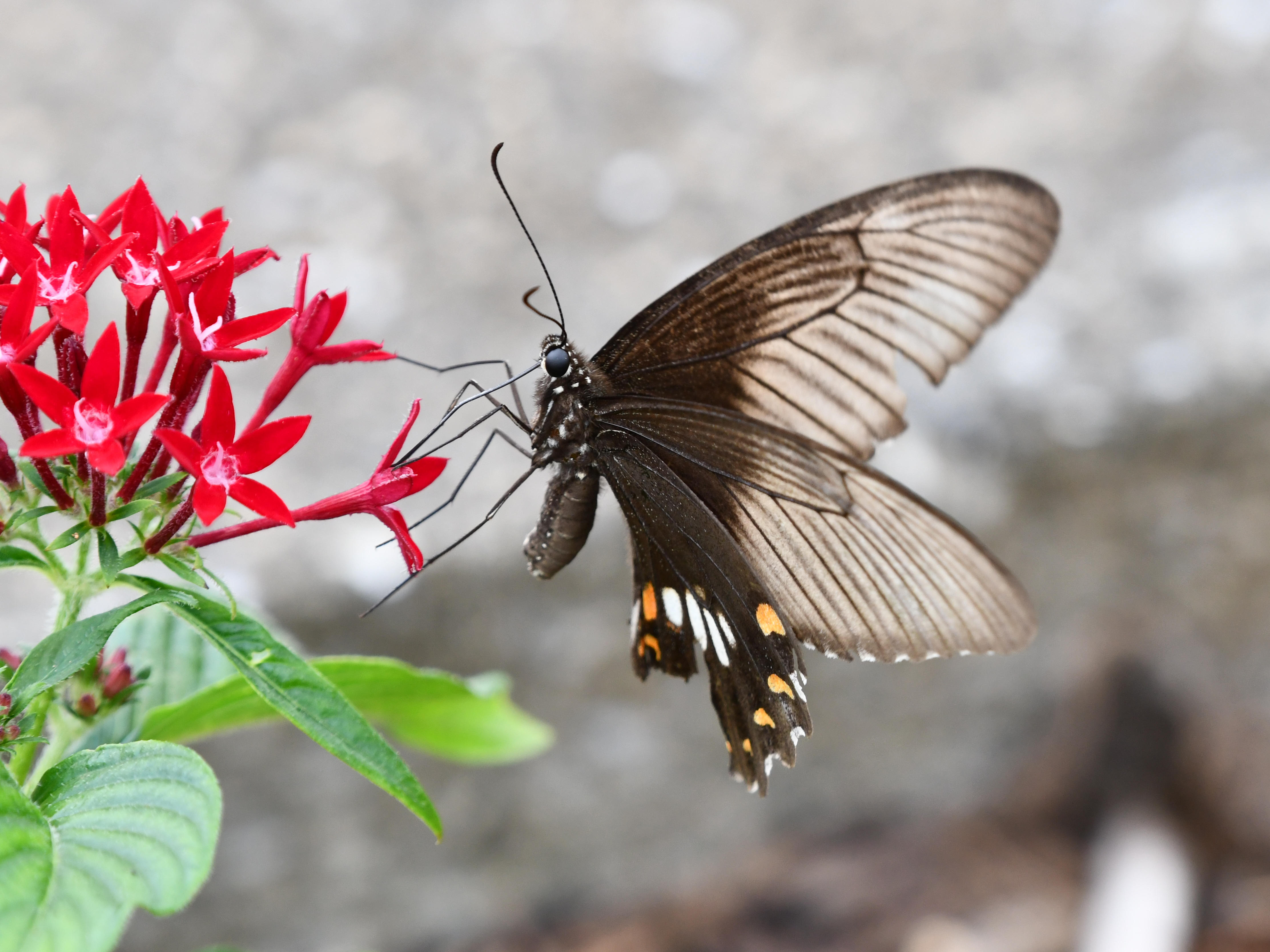 #69:
          STAY TUNED...
          f/ at mm - Shutter Speed: - ISO: