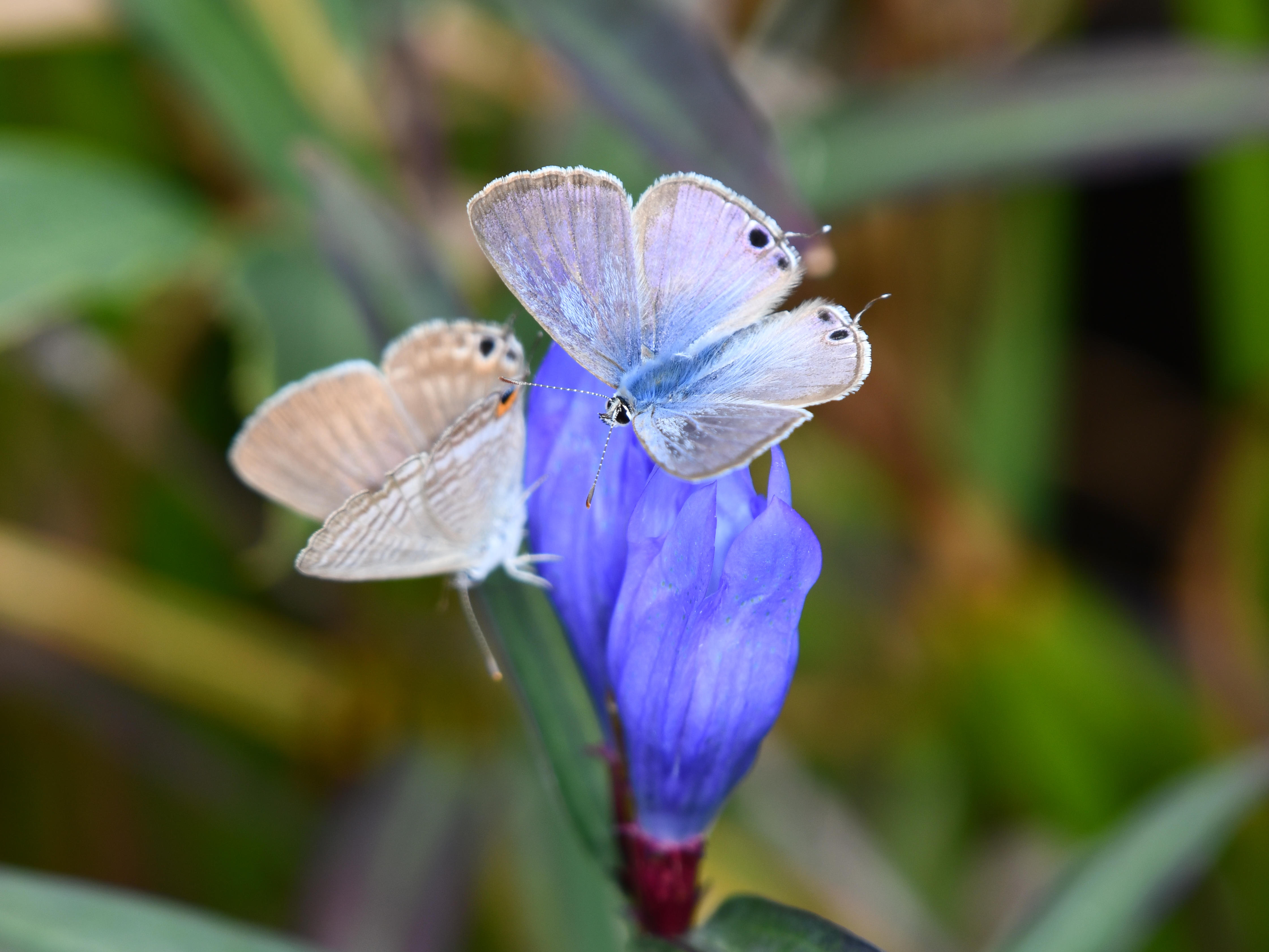 #83:
          STAY TUNED...
          f/ at mm - Shutter Speed: - ISO: