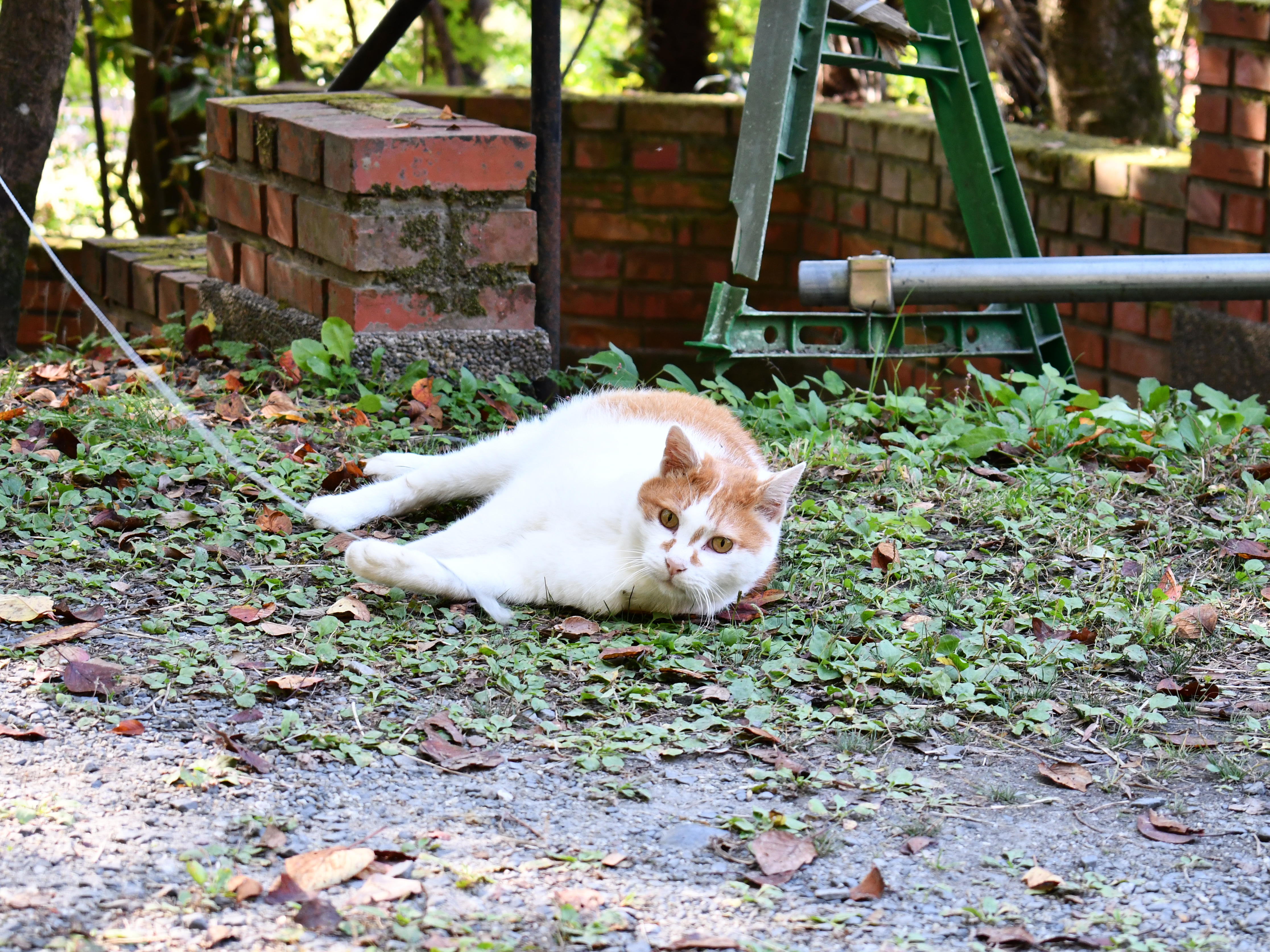 #90:
          STAY TUNED...
          f/ at mm - Shutter Speed: - ISO: