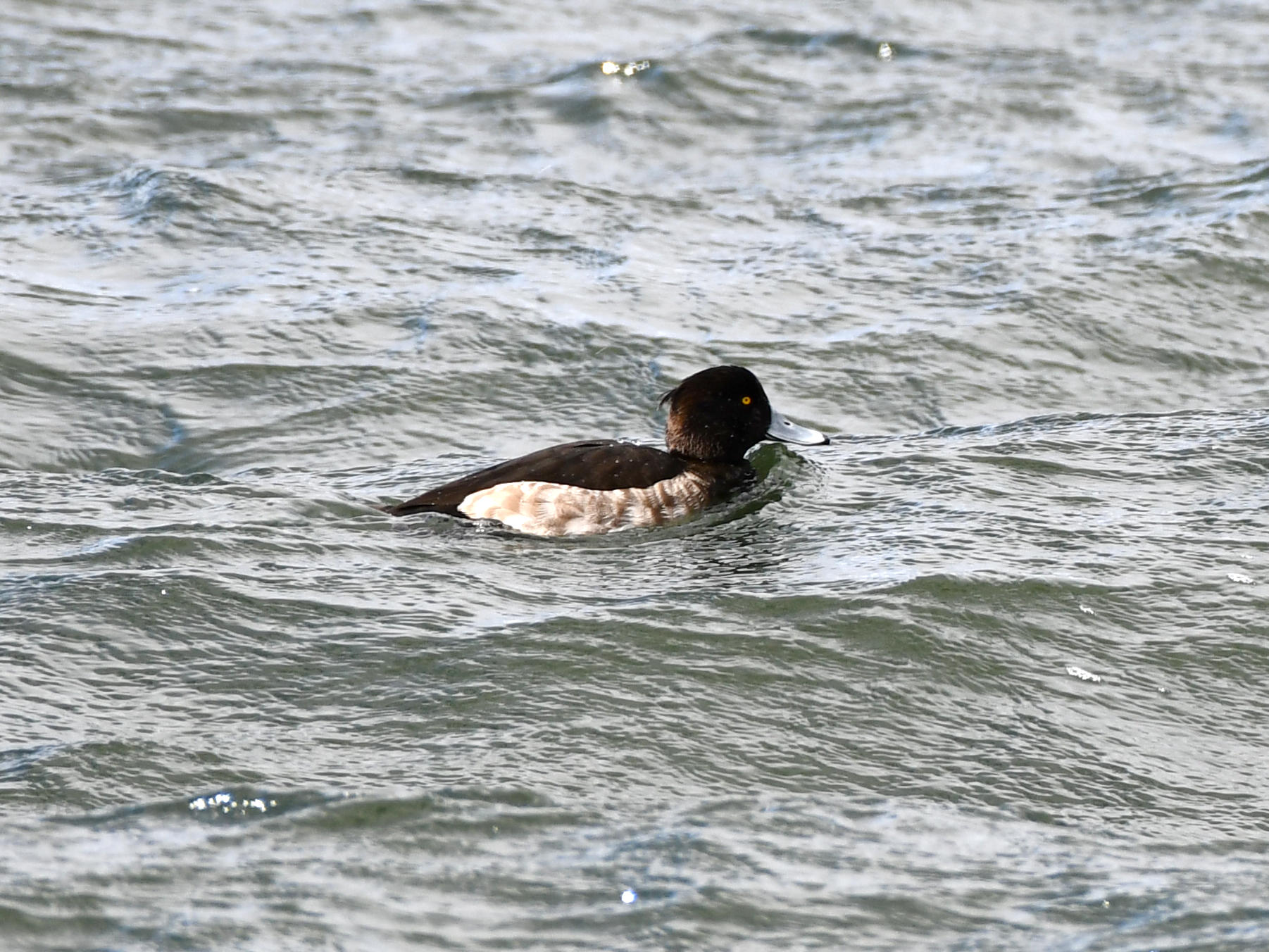 #93:
    STAY TUNED...
    f/ at mm - Shutter Speed: - ISO: